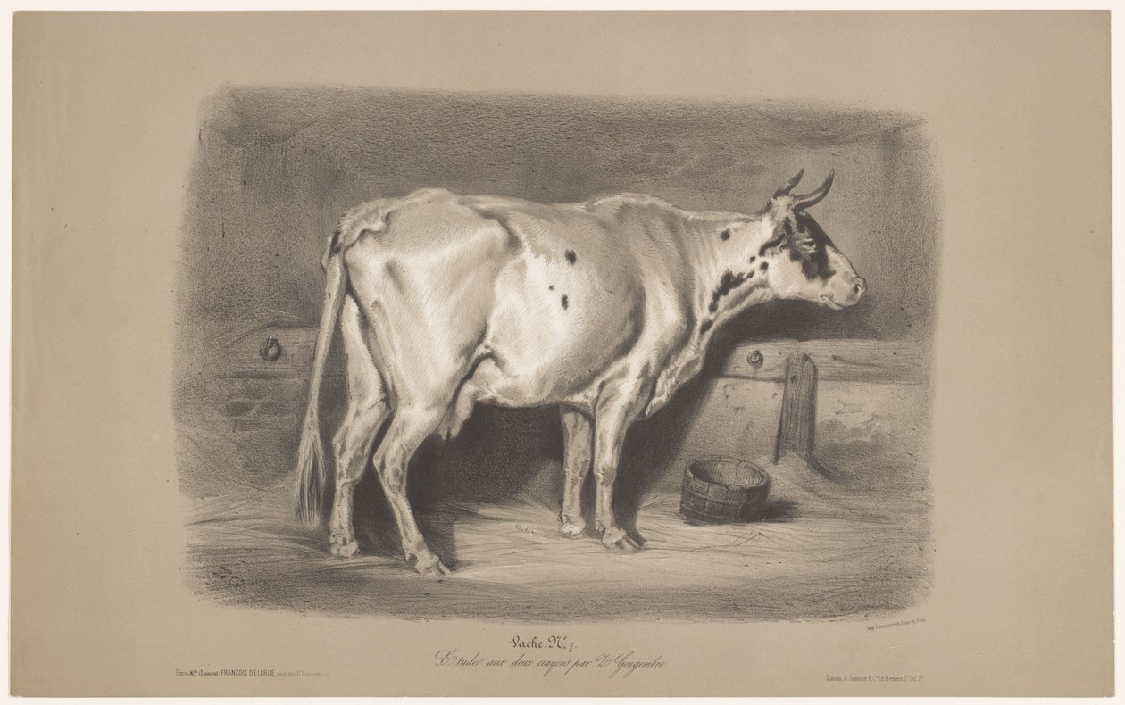 Lehmä tallissa Vache (otsikko esineessä) Eläintutkimukset kahdella liidulla (sarjan nimi) Etude aux deux värikynät par Z. Gengembre (sarjan nimi esineessä) tekijältä Joseph Zephyris Gengembre