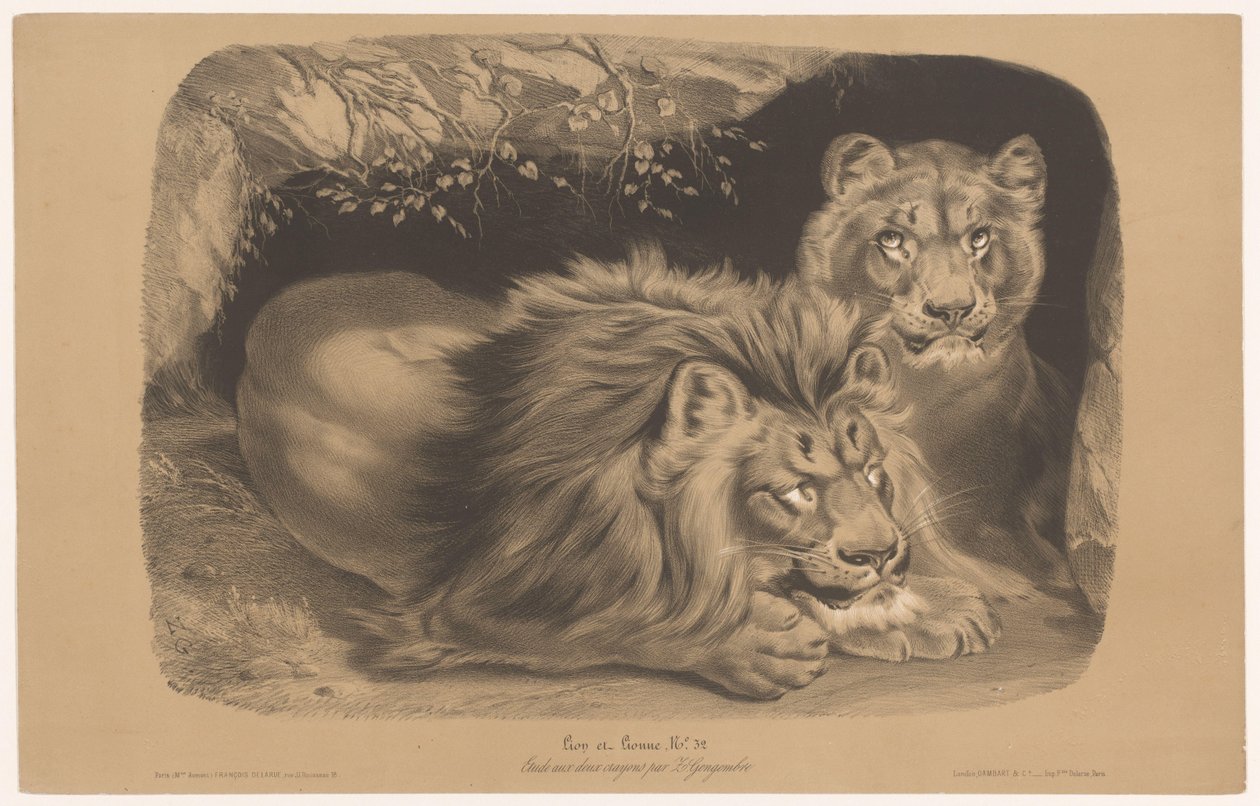 leijona ja leijona Lion et Lionne (otsikko esineessä) Eläintutkimukset kahdella liidulla (sarjan nimi) Etude aux deux värikynät par Z. Gengembre (sarjan nimi esineessä) tekijältä Joseph Zephyris Gengembre