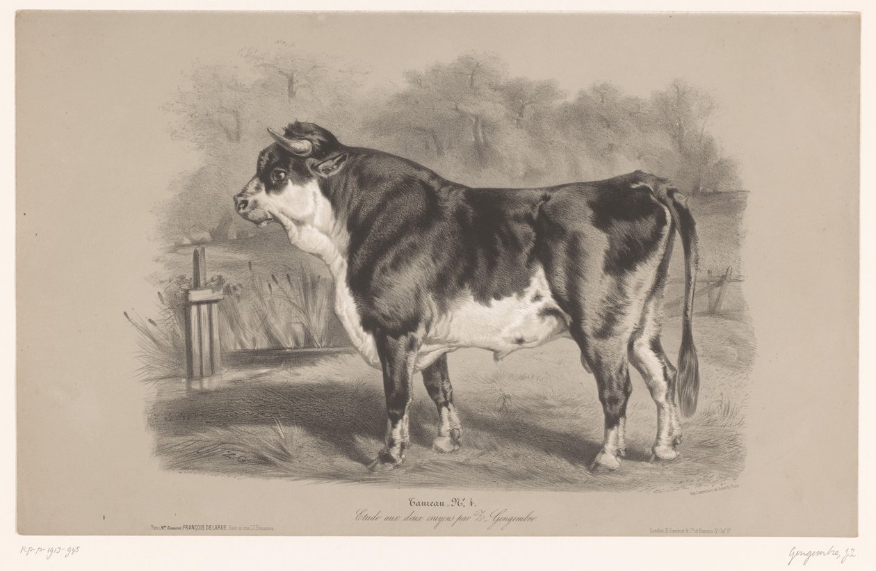 Stier in een weiland Taureau (title on object) Dierenstudies in twee soorten krijt (series title) Étude aux deux crayons par Z. Gengembre (series title on object)   1370397   fi       finnish Successfully Translated  Original: Joseph and Potiphars wife Tra tekijältä Joseph Zephyris Gengembre