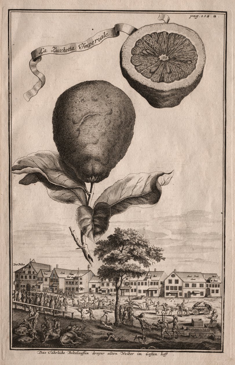Nurnbergische Hesperides: The Luchetta Imperiale tekijältä Joseph de Montalegre