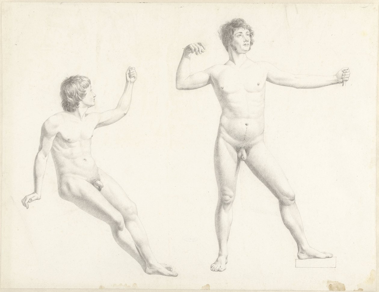 Kaksi miespuolista alastontutkimusta tekijältä Josephus Augustus Knip