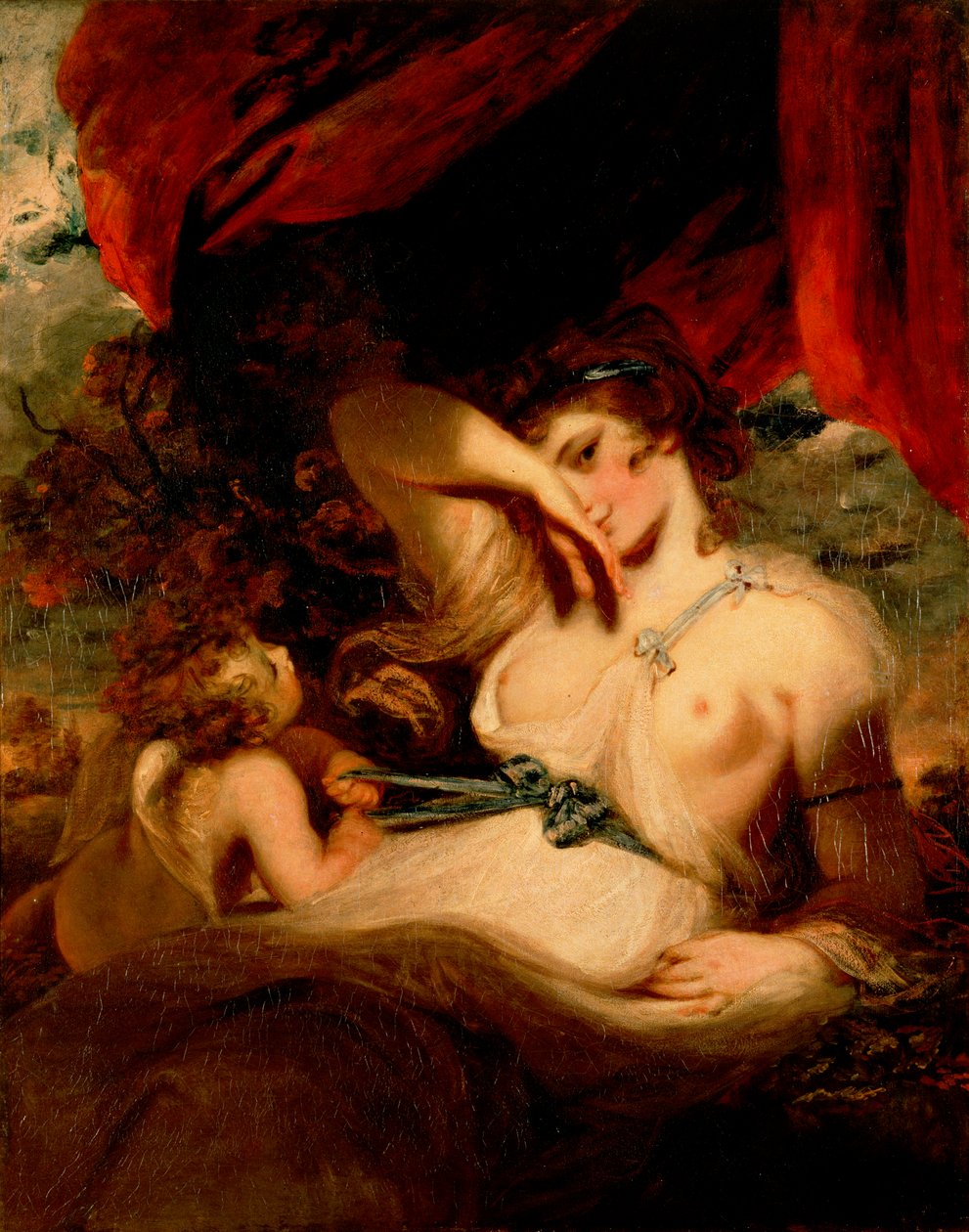 Amor irrottaa Venuksen alueen tekijältä Joshua Reynolds