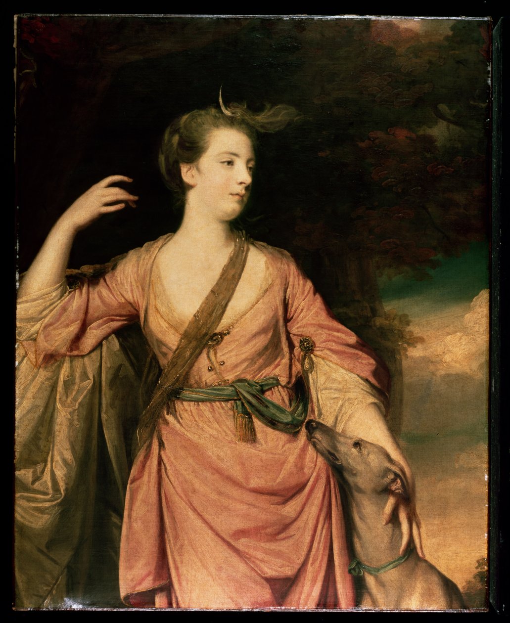 Lady Dawson noin 1763 tekijältä Joshua Reynolds