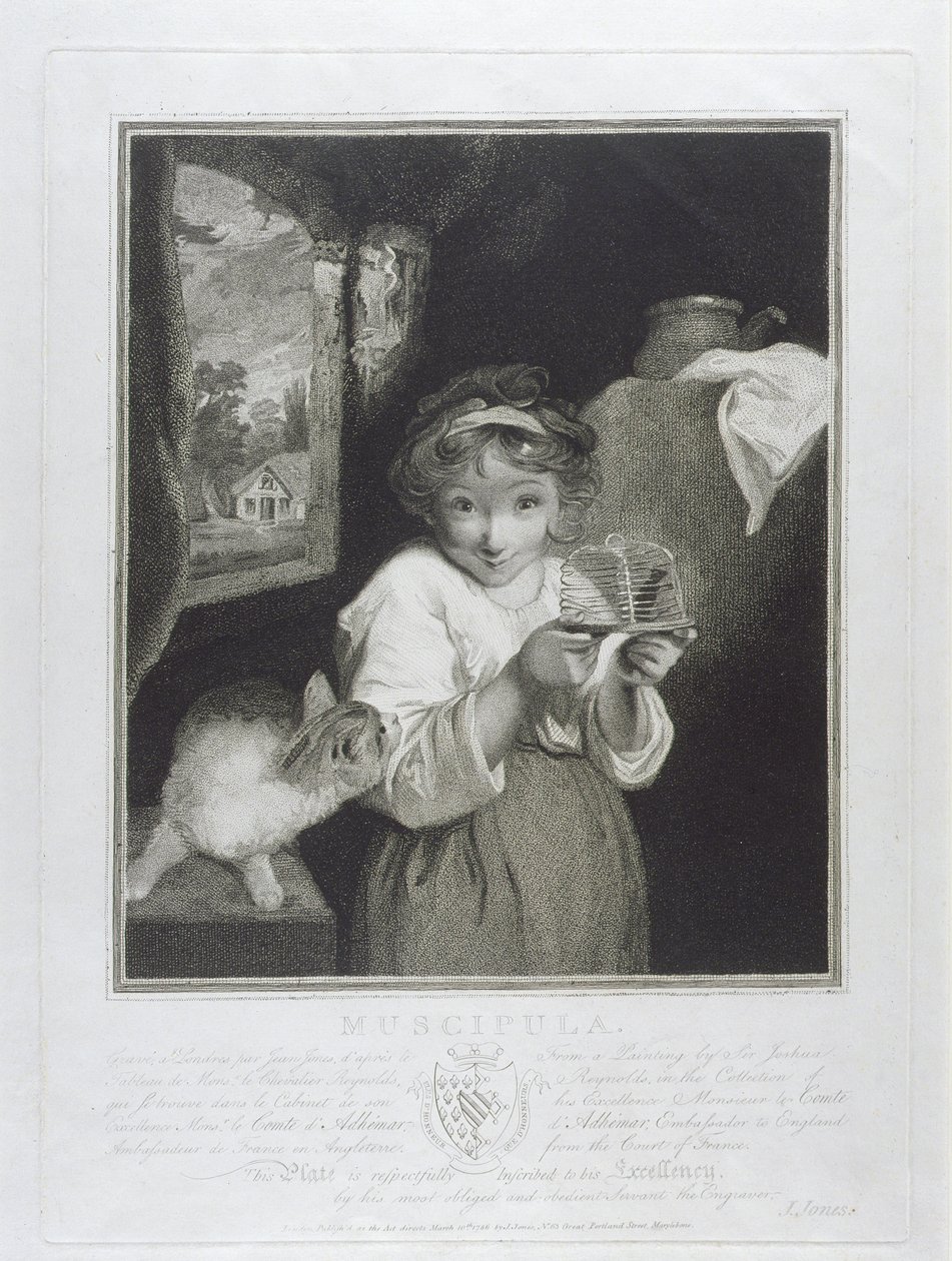 Muscipula, kaiverrettu John Jonesin (n.1745-97) toimesta 1786. tekijältä Joshua Reynolds