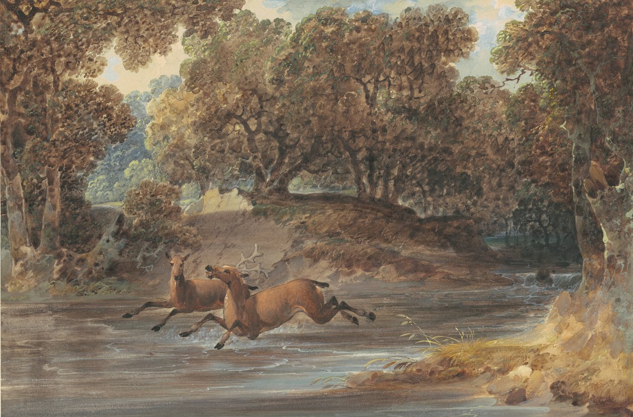 Maisema hirvineen, Pohjois-Carolina, noin 1820 (wc ja guassi grafiitilla paperille). tekijältä Joshua H. Shaw