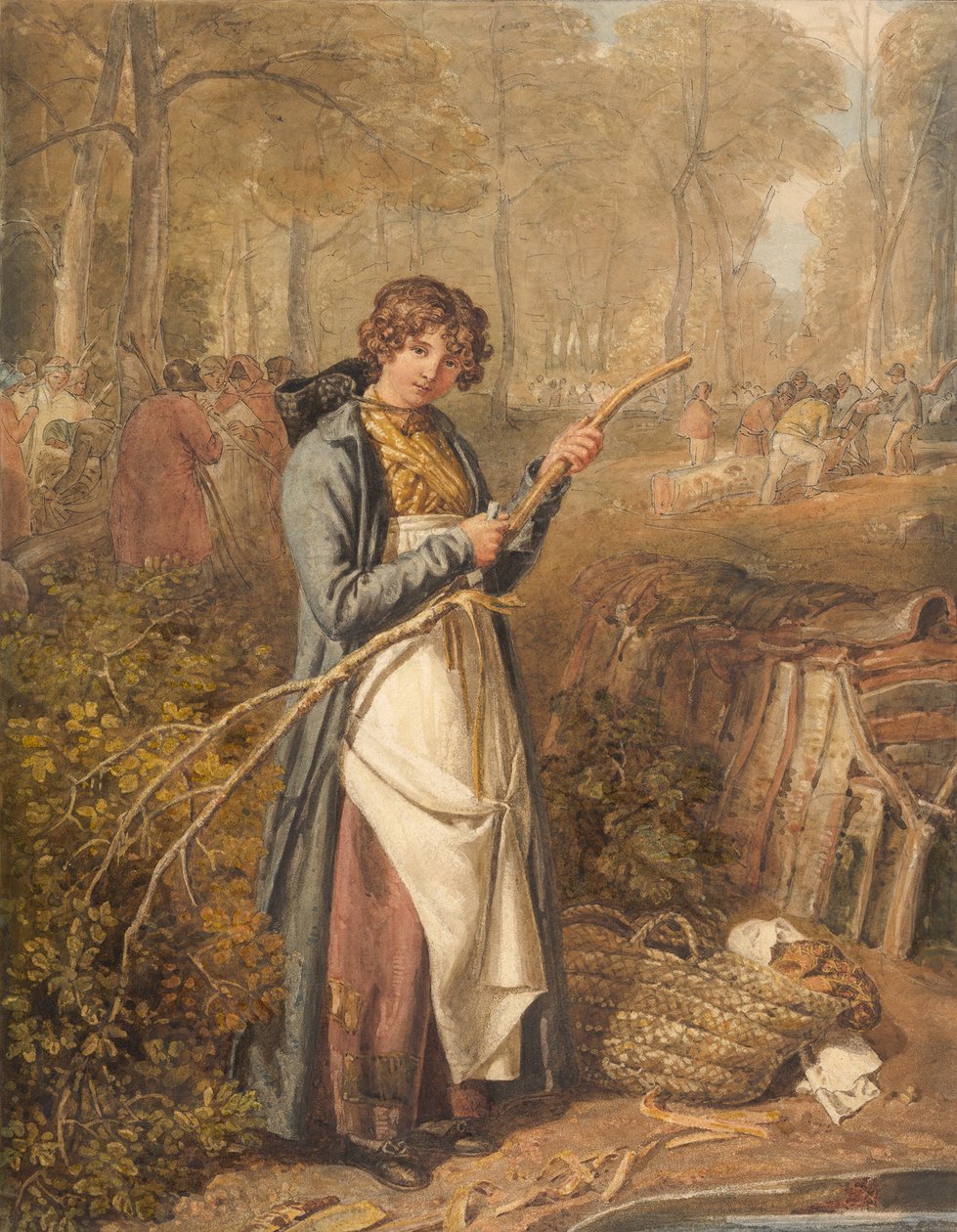 Barking Timber Wychwood Forestissa, Oxfordshiressa, 1818. tekijältä Joshua Cristall