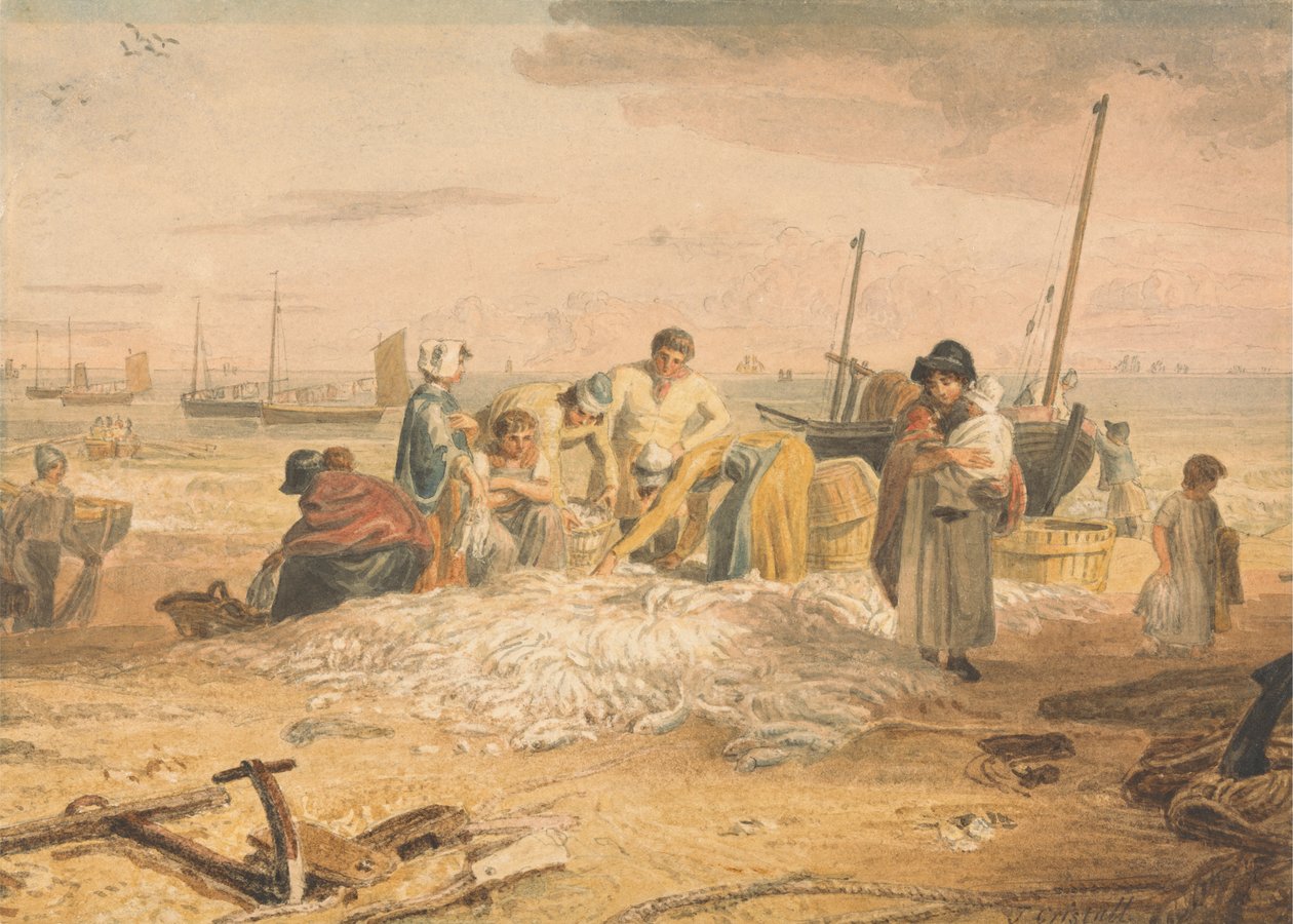 Makrillisaalis, Hastings tekijältä Joshua Cristall
