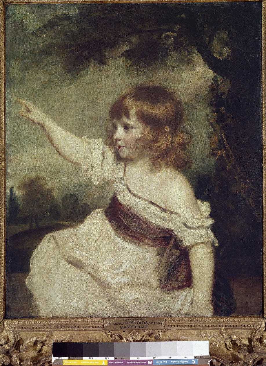 Mestari Hare (Francis George Hare (öljy kankaalle tekijältä Joshua Reynolds