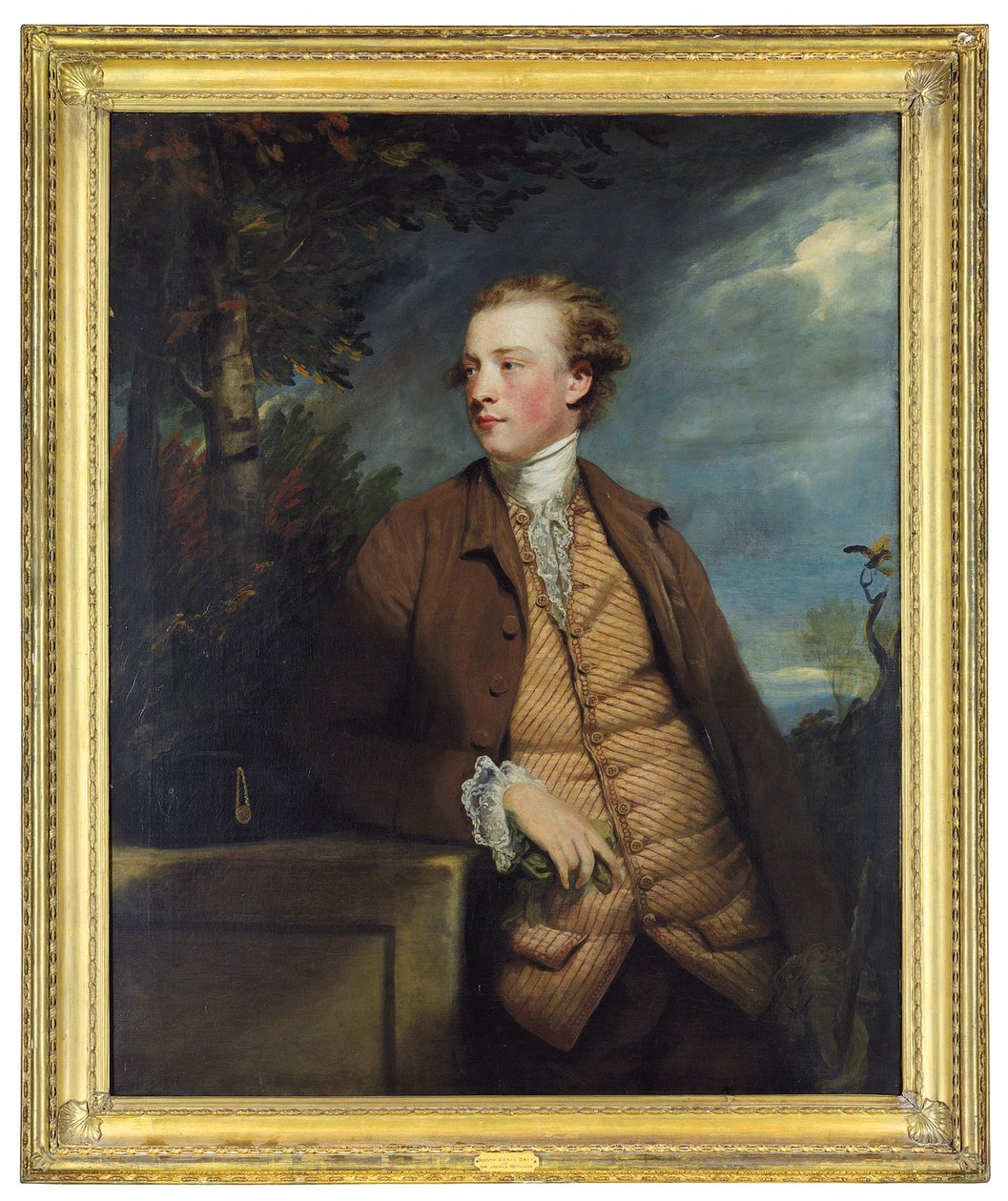 Denis Dalyn muotokuva tekijältä Joshua Reynolds