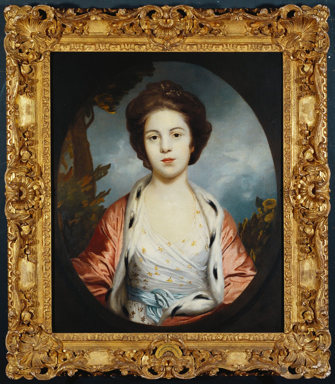 Muotokuva Estheristä, Lady Wray, yllään valkoinen mekko, kultainen ja vaaleanpunainen hermeliinivuorattu viitta, maisema takana tekijältä Joshua Reynolds