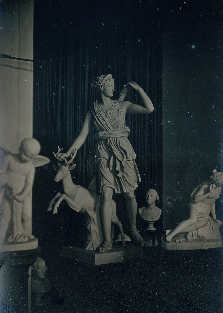 Sculpture Gallery, Boston Athenaeum, n. 1855. Tekijät: Josiah Johnson Hawes, Albert Sands Southworth. tekijältä Josiah Johnson Hawes, Albert Sands Southworth