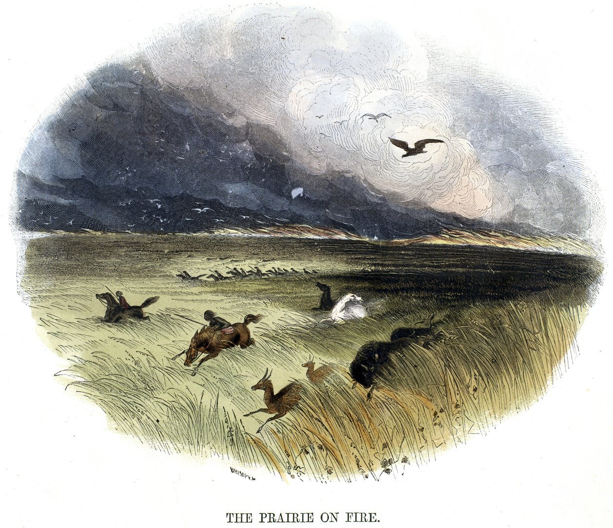 Prairie on Fire, luonnonilmiöistä, 1849 tekijältä Josiah Wood Whymper
