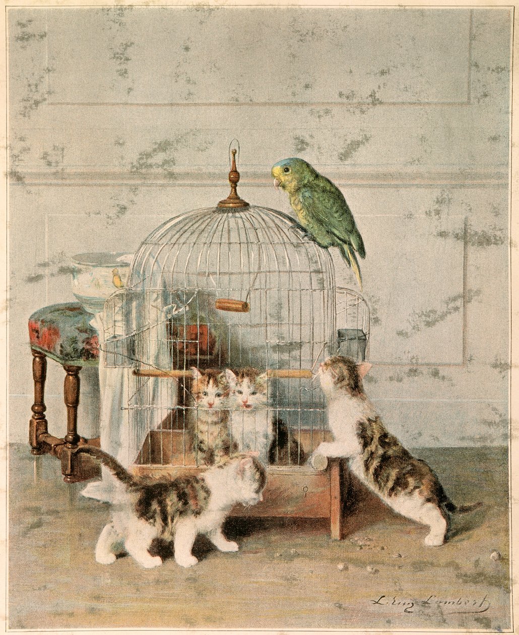  tekijältä Josse Photo