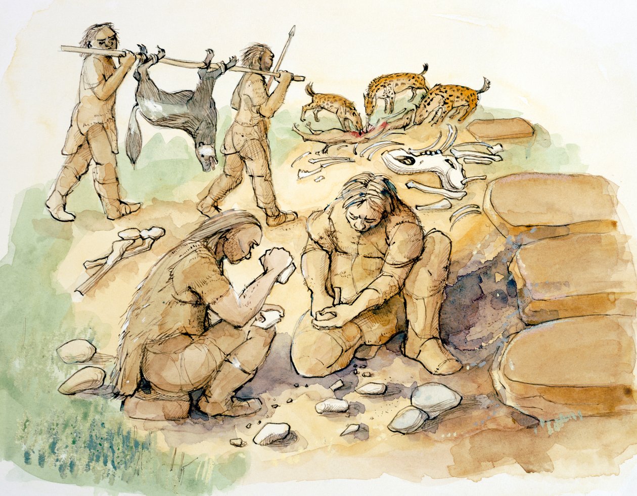 Glaston. Hominidit ja hyeenat, keski- ja yläpaleoliittinen kausi (30000 BP), 2001 (vesiväri paperille). tekijältä Judith Dobie