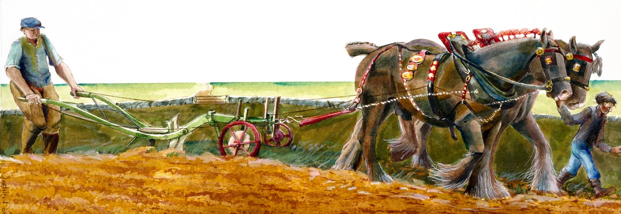 Kyntö, c1830-1900, c1990-2010 tekijältä Judith Dobie