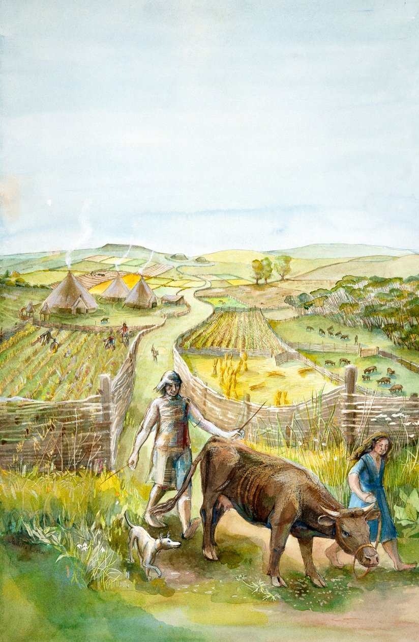 Maaseutumaisema, 2000eKr., c1990-2010 tekijältä Judith Dobie