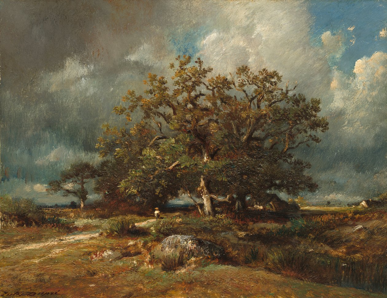 Vanha tammi tekijältä Jules Dupré