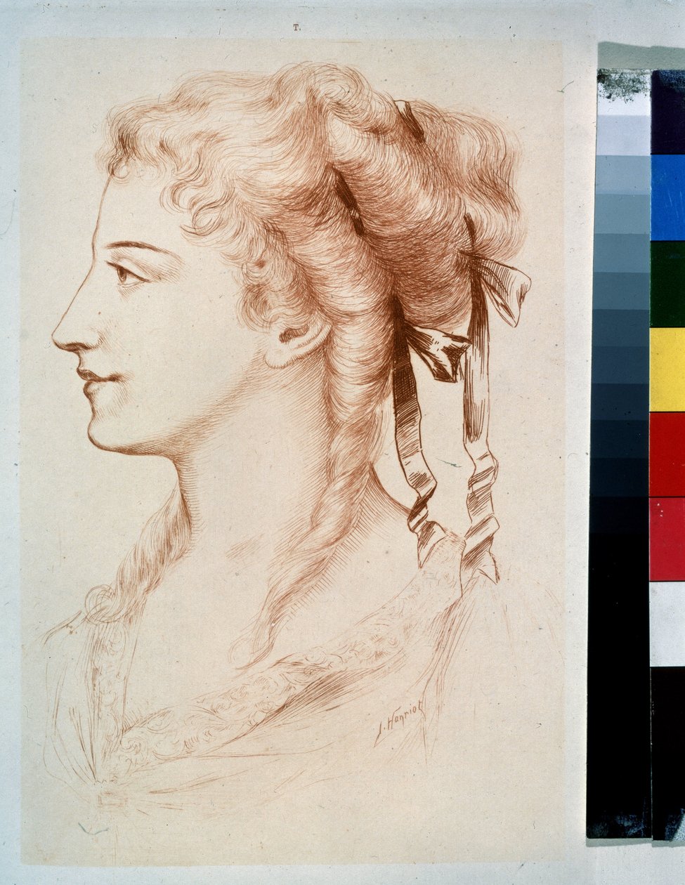 ""Profile Of A Young Lady"" (nuoren naisen muotokuva) kynäpiirros Jules Armand Hanriot (1853-1877) 1800-luvun valtion ulkoilmamuseo Peterhof, Pietari tekijältä Jules Armand Hanriot