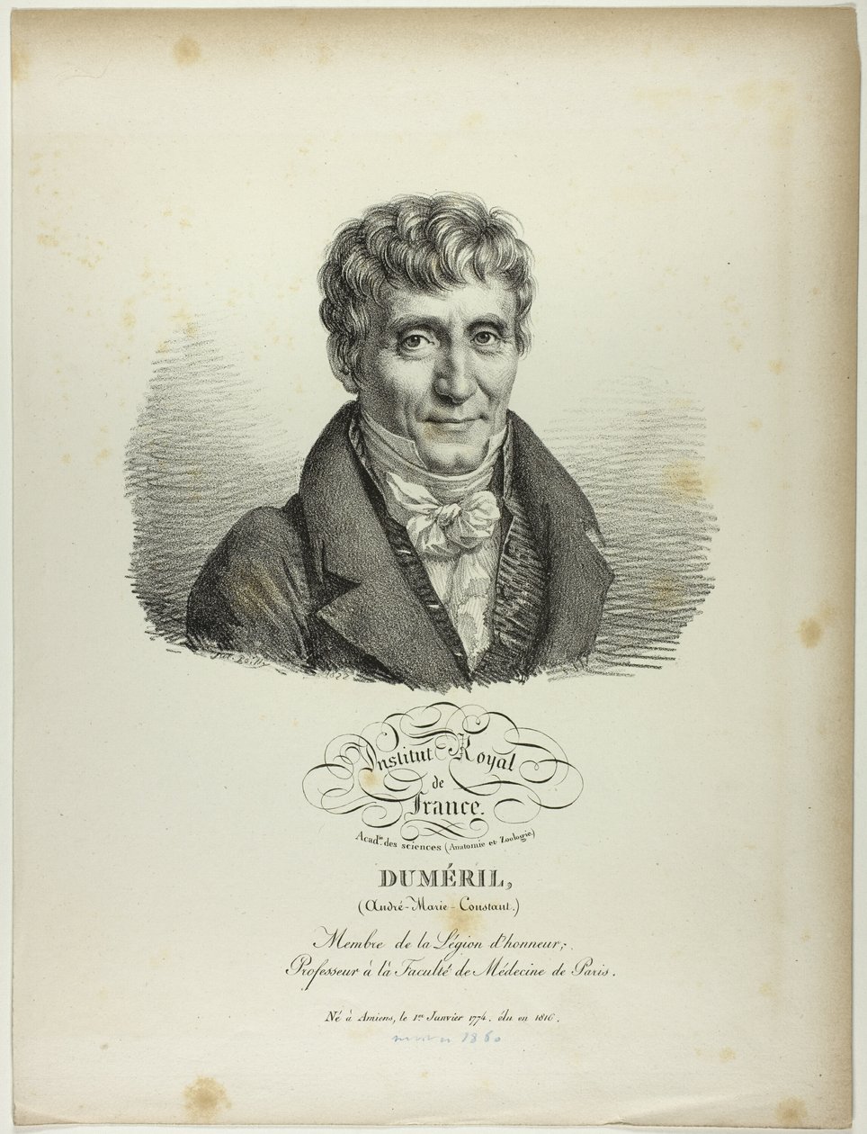 Muotokuva André-Marie-Constant Dumérilista tekijältä Jules Boilly