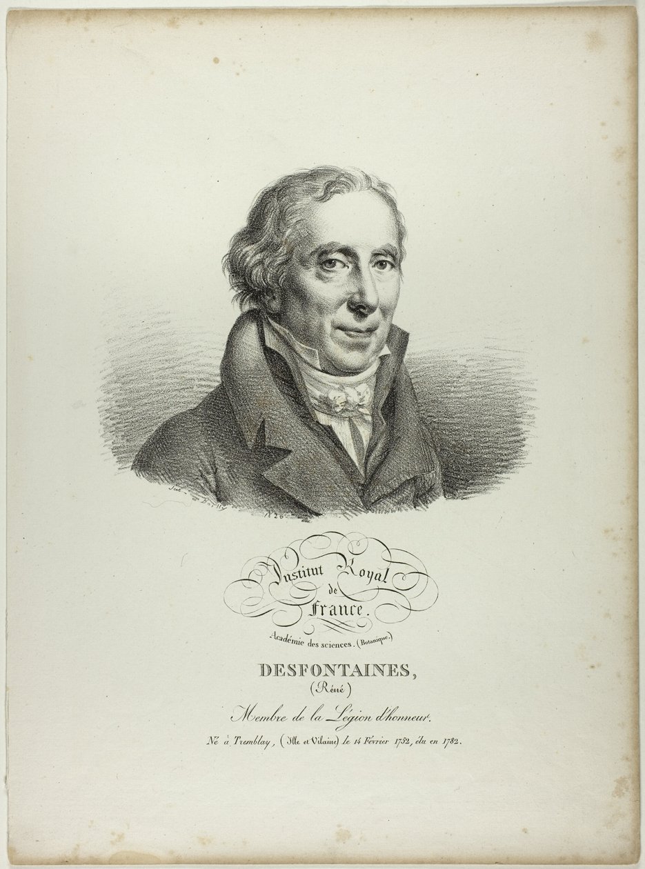 Réné Desfonatainesin muotokuva tekijältä Jules Boilly