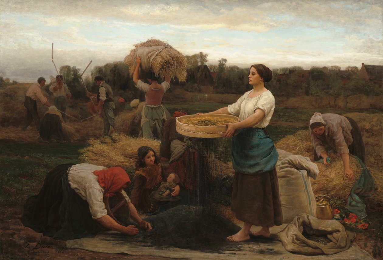 The Colza Harvesting Rapeseed, 1860. finlandès tekijältä Jules Breton