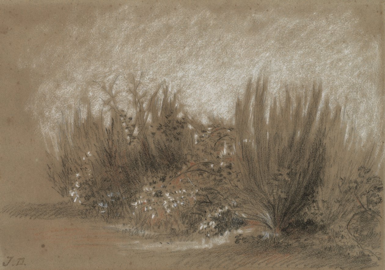 Genets et Ronces (Broom ja Brambles) tekijältä Jules Dupré