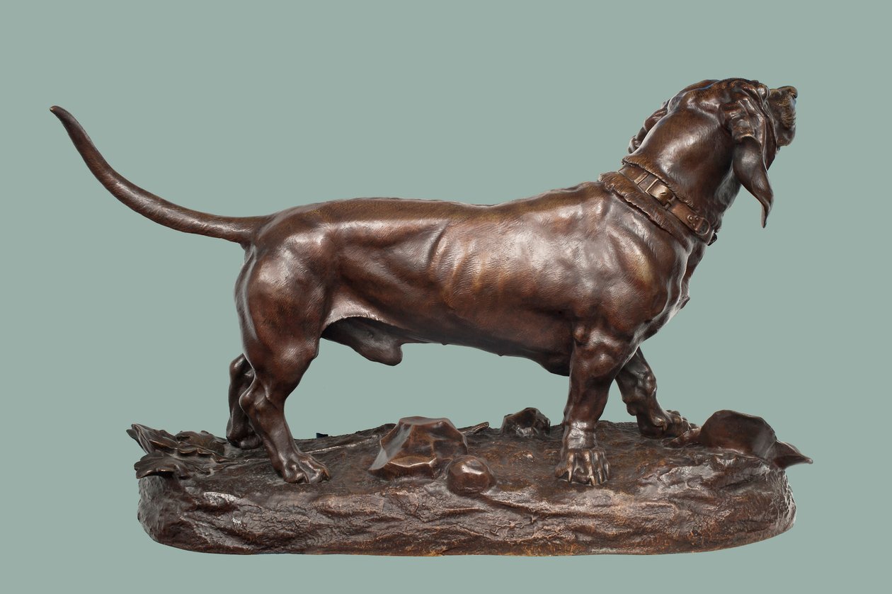 Basset Hound (pronssi ruskealla patinalla) tekijältä Jules Pierre Moigniez