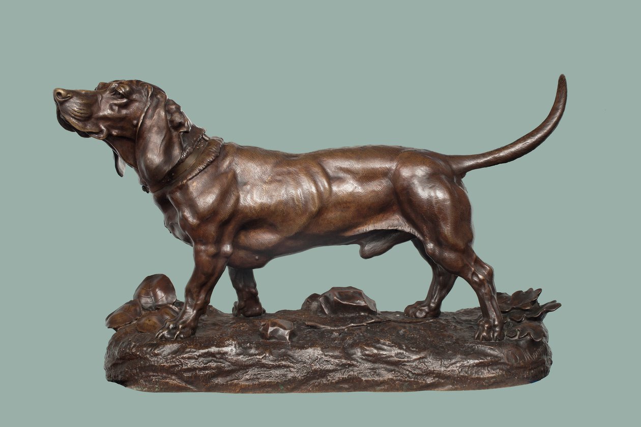 Basset Hound (pronssi ruskealla patinalla) tekijältä Jules Pierre Moigniez