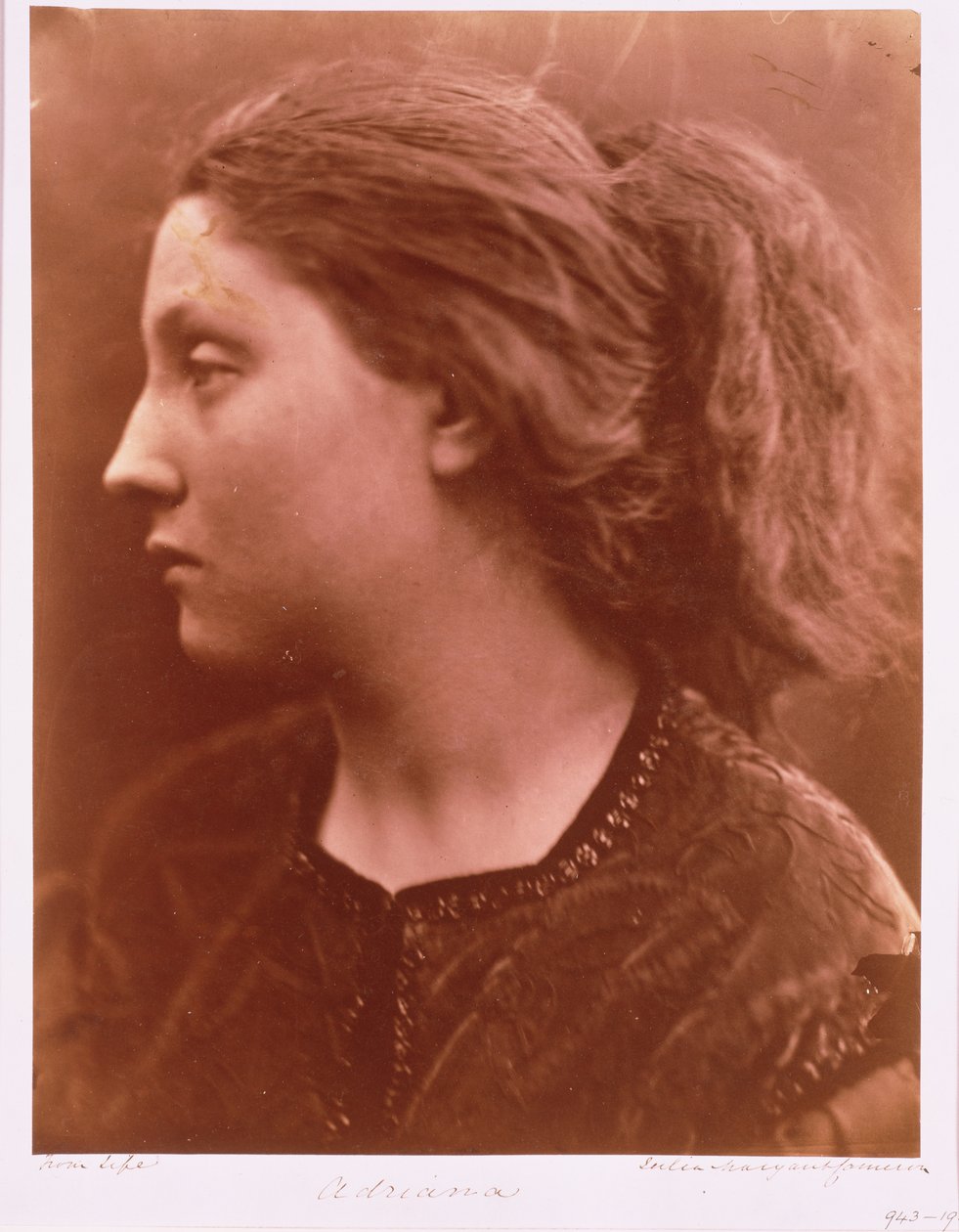 Adriana tekijältä Julia Margaret Cameron