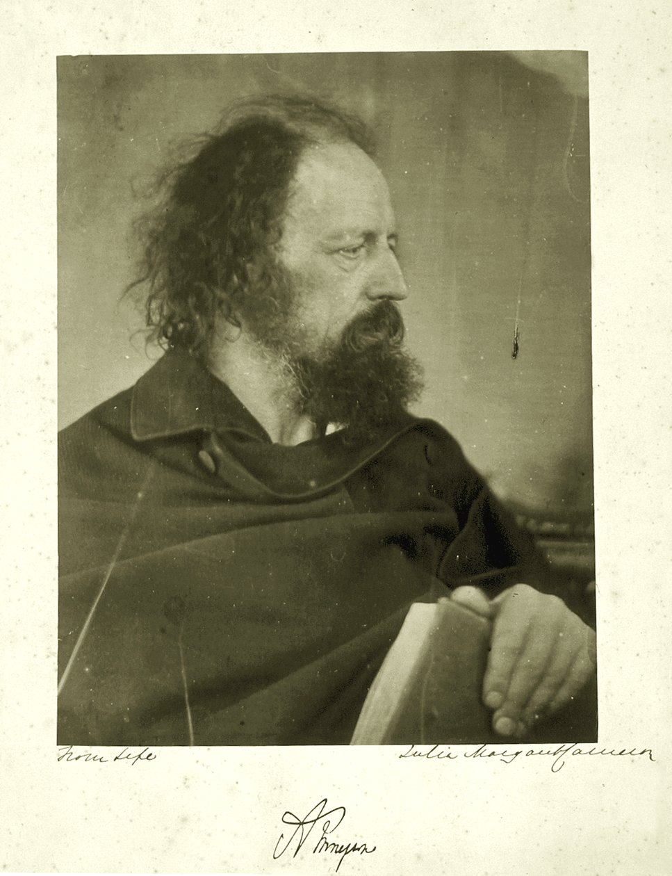 Alfred Tennyson, likainen munkki, 1865 (albumiprintti) tekijältä Julia Margaret Cameron