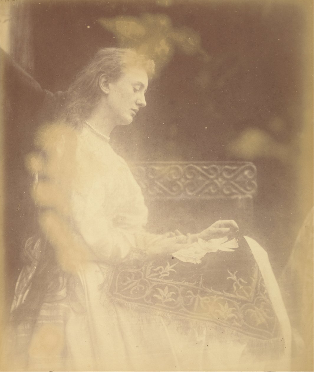Elaine tekijältä Julia Margaret Cameron