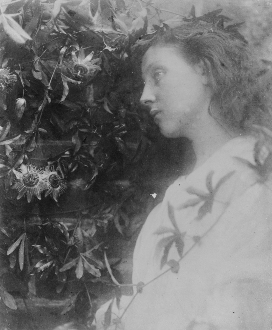 Kuvitus Alfred, Lord Tennysonin runoon "Maud", 1865 (albumiprintti) tekijältä Julia Margaret Cameron