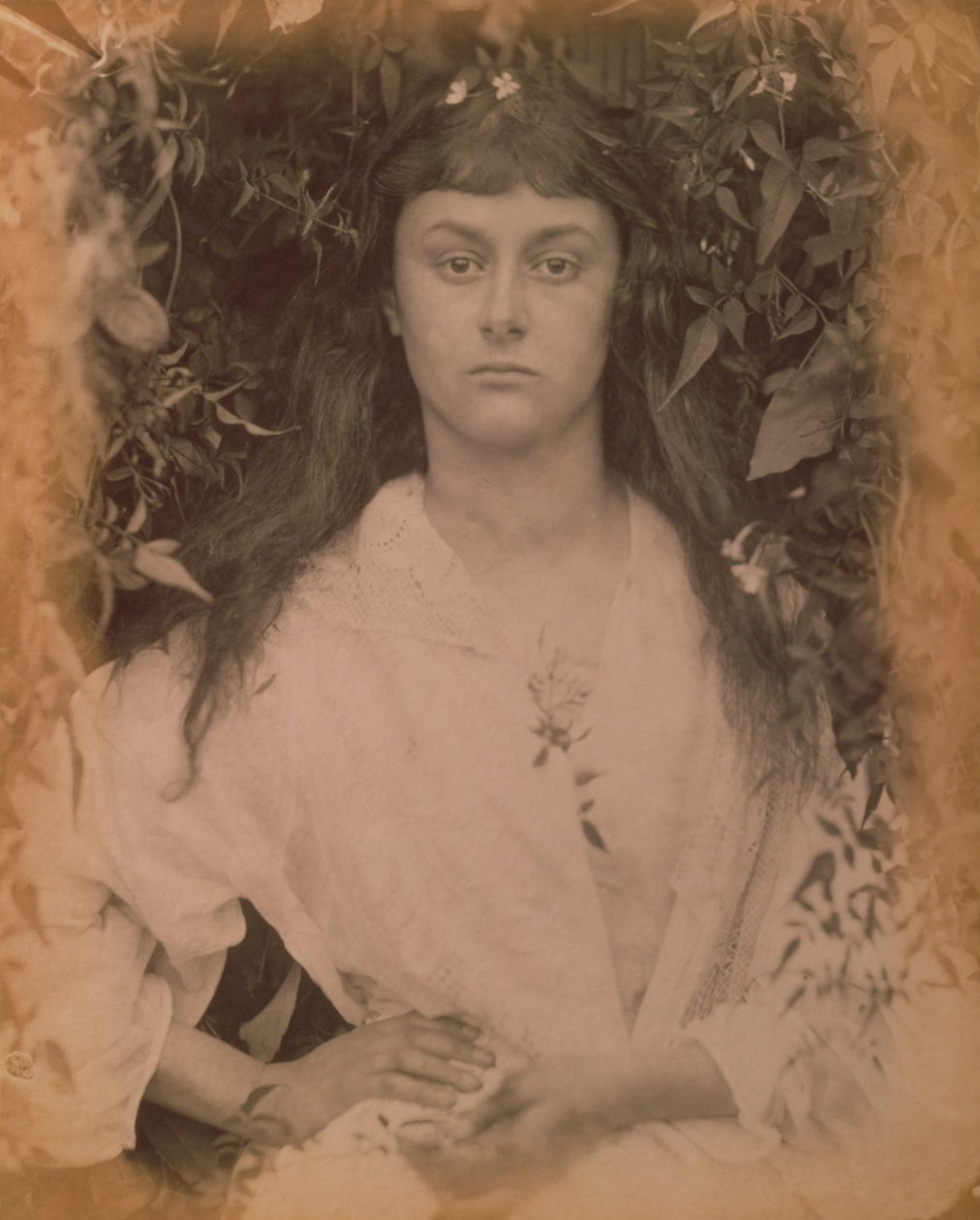Pomona, 1872 tekijältä Julia Margaret Cameron