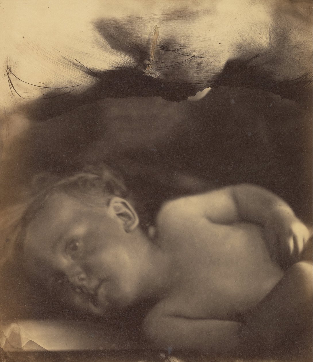 Lapsen Samuelin visio tekijältä Julia Margaret Cameron