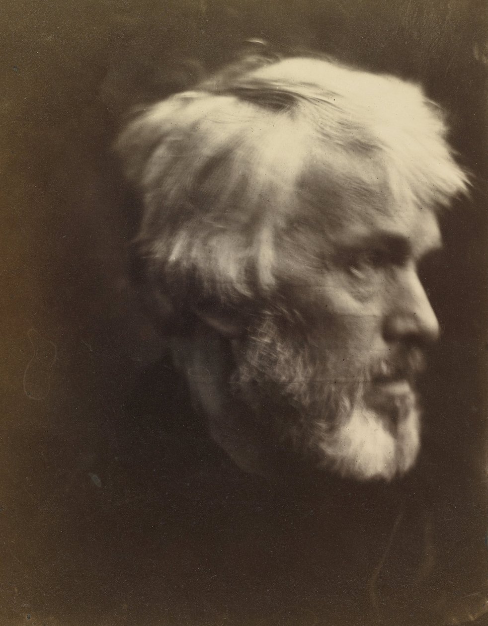 Thomas Carlyle (1795 tekijältä Julia Margaret Cameron