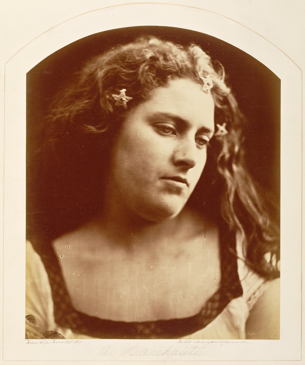 [Bacchante] tekijältä Julia Margaret Cameron