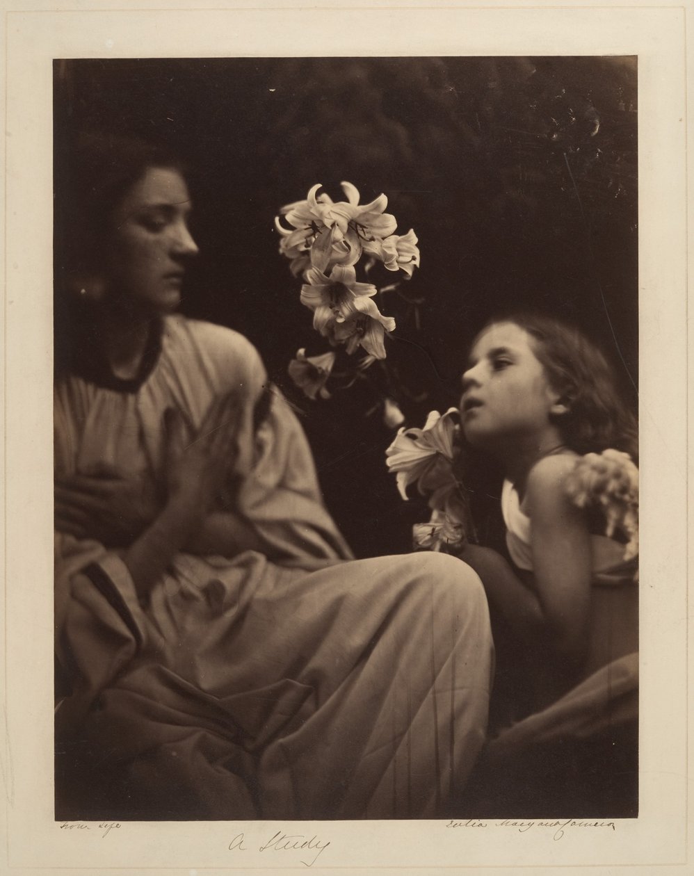 Tutkimus tekijältä Julia Margaret Cameron