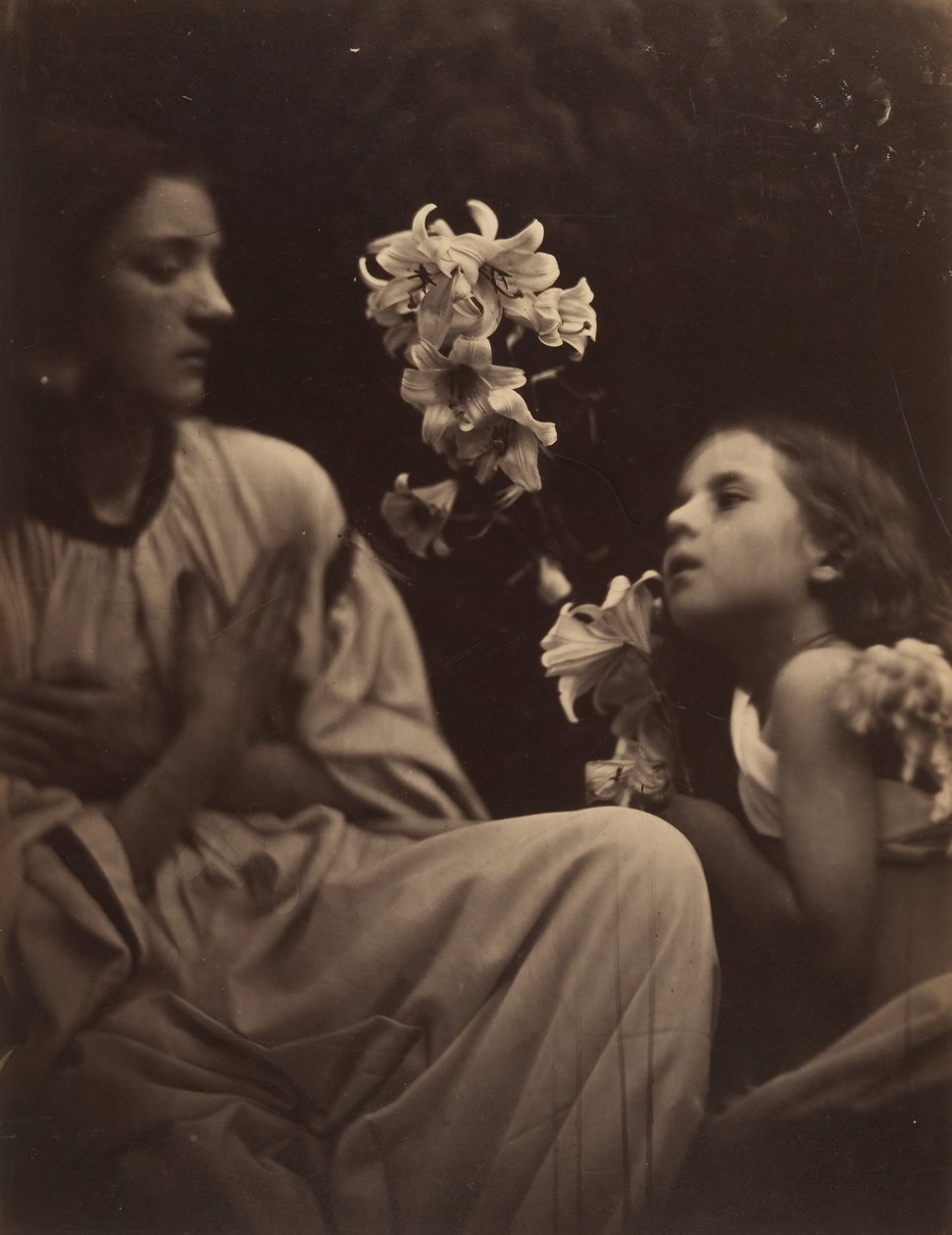 Tutkimus, 1865-66. tekijältä Julia Margaret Cameron