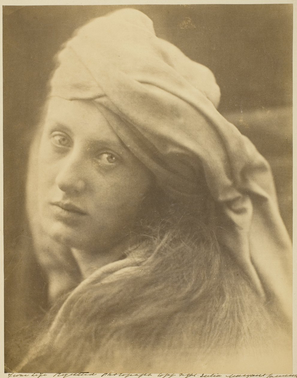 Tutkimus Beatrice Cencista tekijältä Julia Margaret Cameron