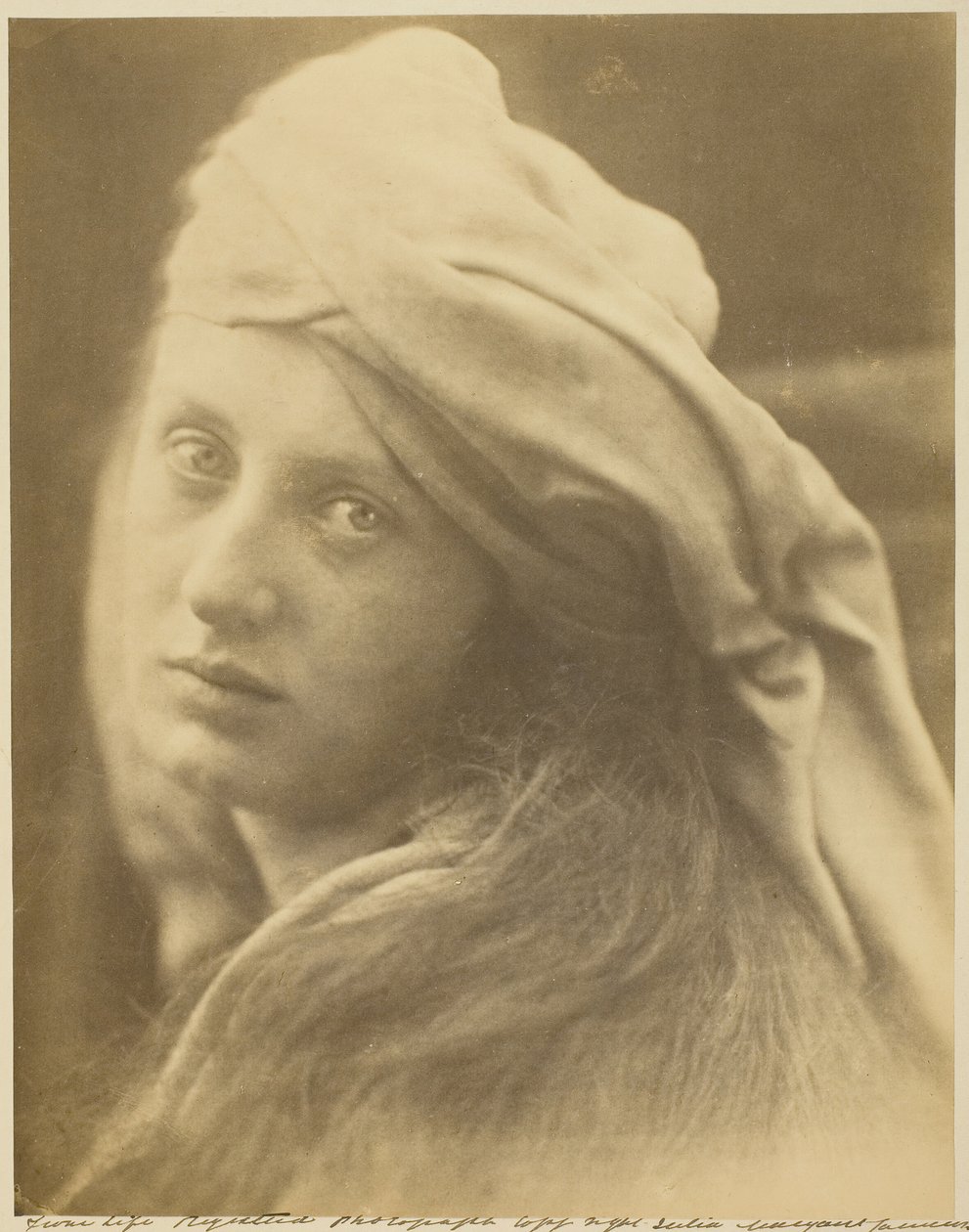 Tutkimus Beatrice Cencista, syyskuu 1870. tekijältä Julia Margaret Cameron