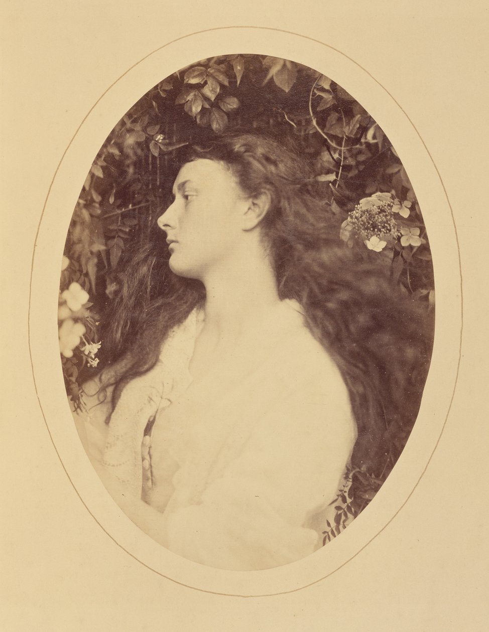 [Alethea] tekijältä Julia Margaret Cameron