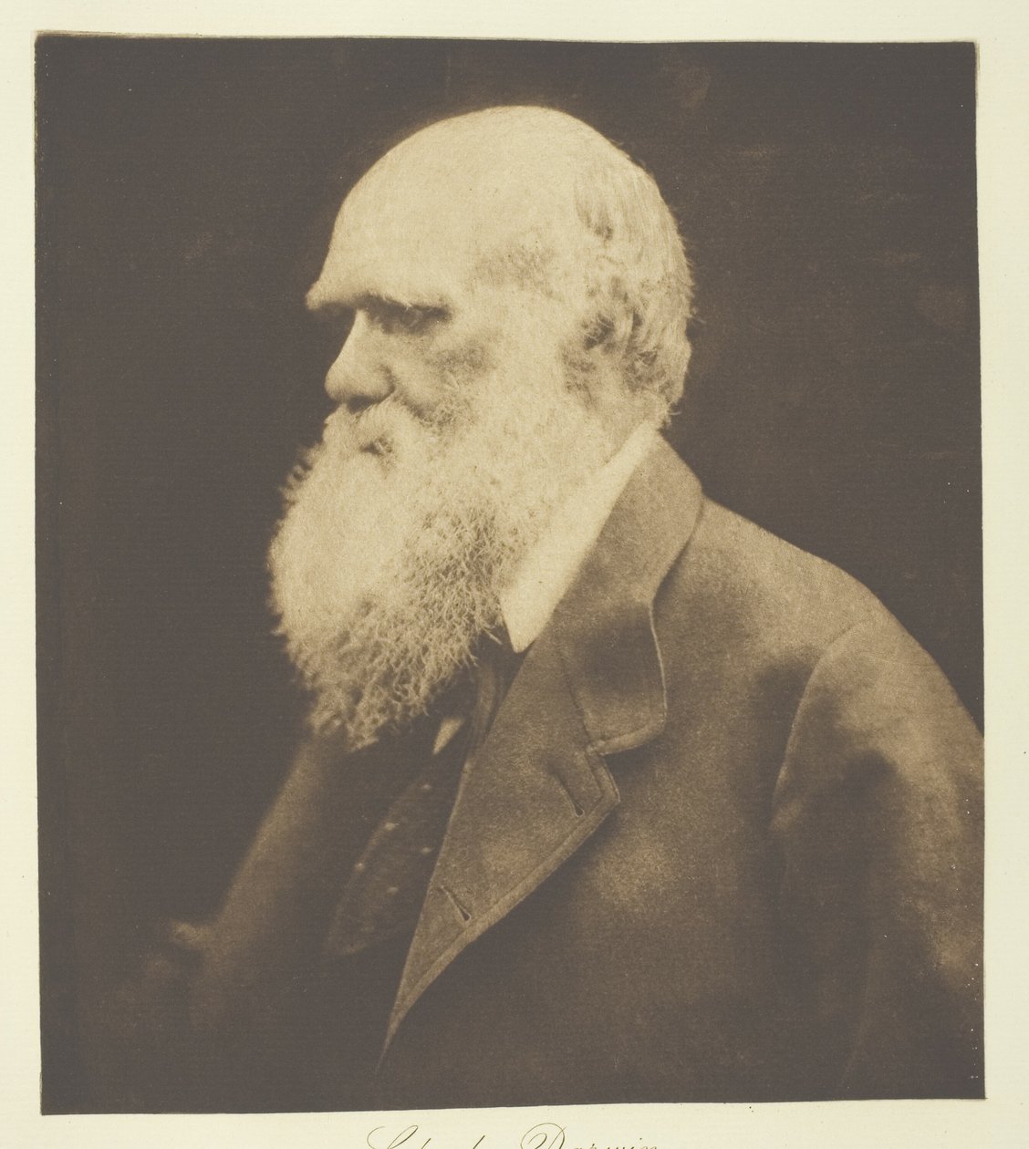 Charles darwin tekijältä Julia Margaret Cameron