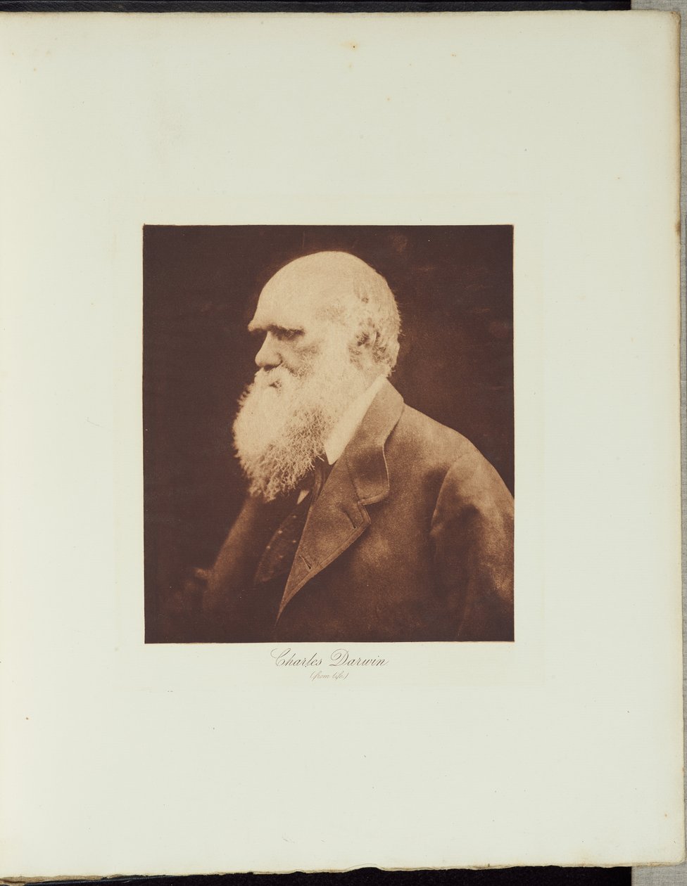 Charles Darwin tekijältä Julia Margaret Cameron