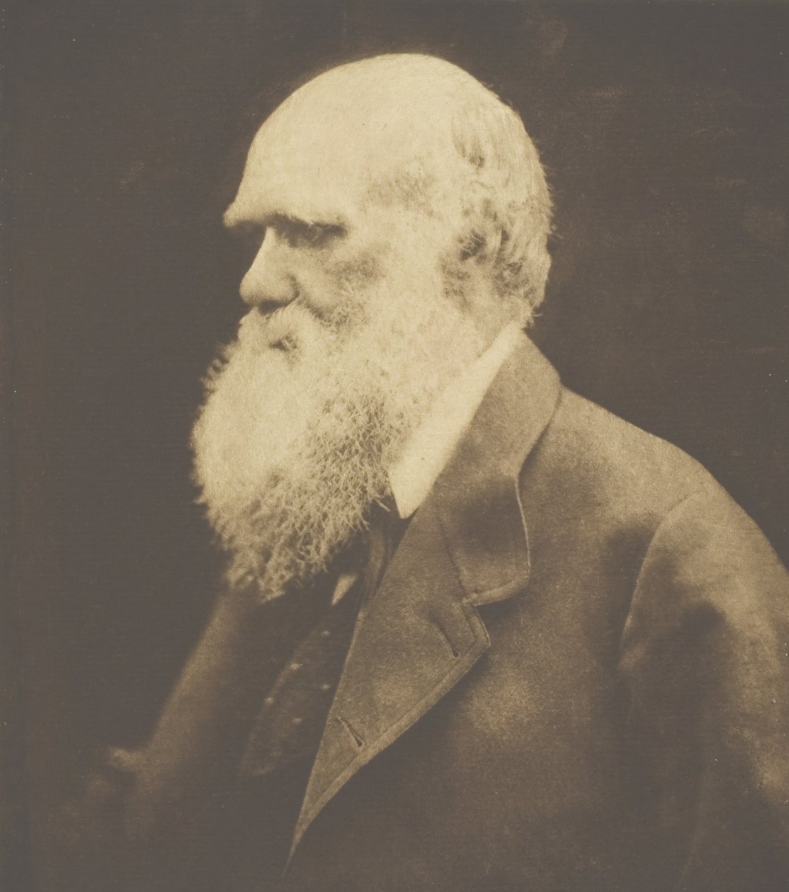 Charles Darwin, 1868, painettu n. 1893. tekijältä Julia Margaret Cameron