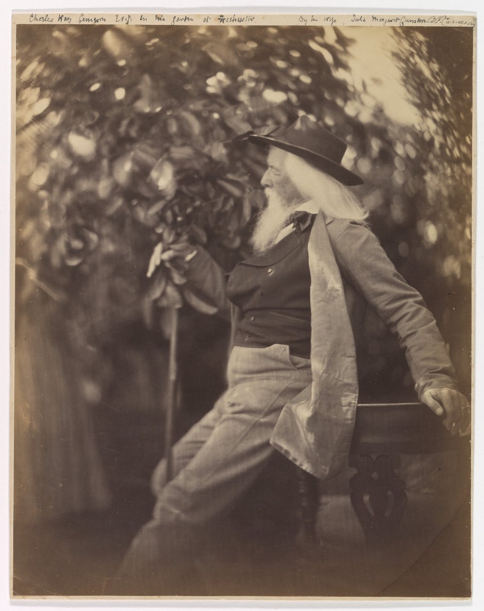 Charles Hay Cameron, Esq., puutarhassaan Freshwaterissa tekijältä Julia Margaret Cameron
