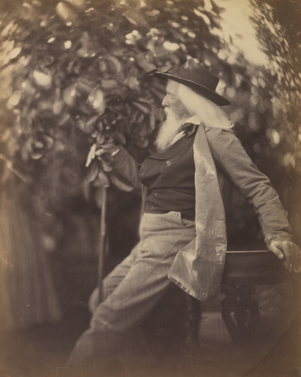 Charles Hay Cameron, Esq., Hänen puutarhassaan Freshwaterissa, 1865-67. tekijältä Julia Margaret Cameron