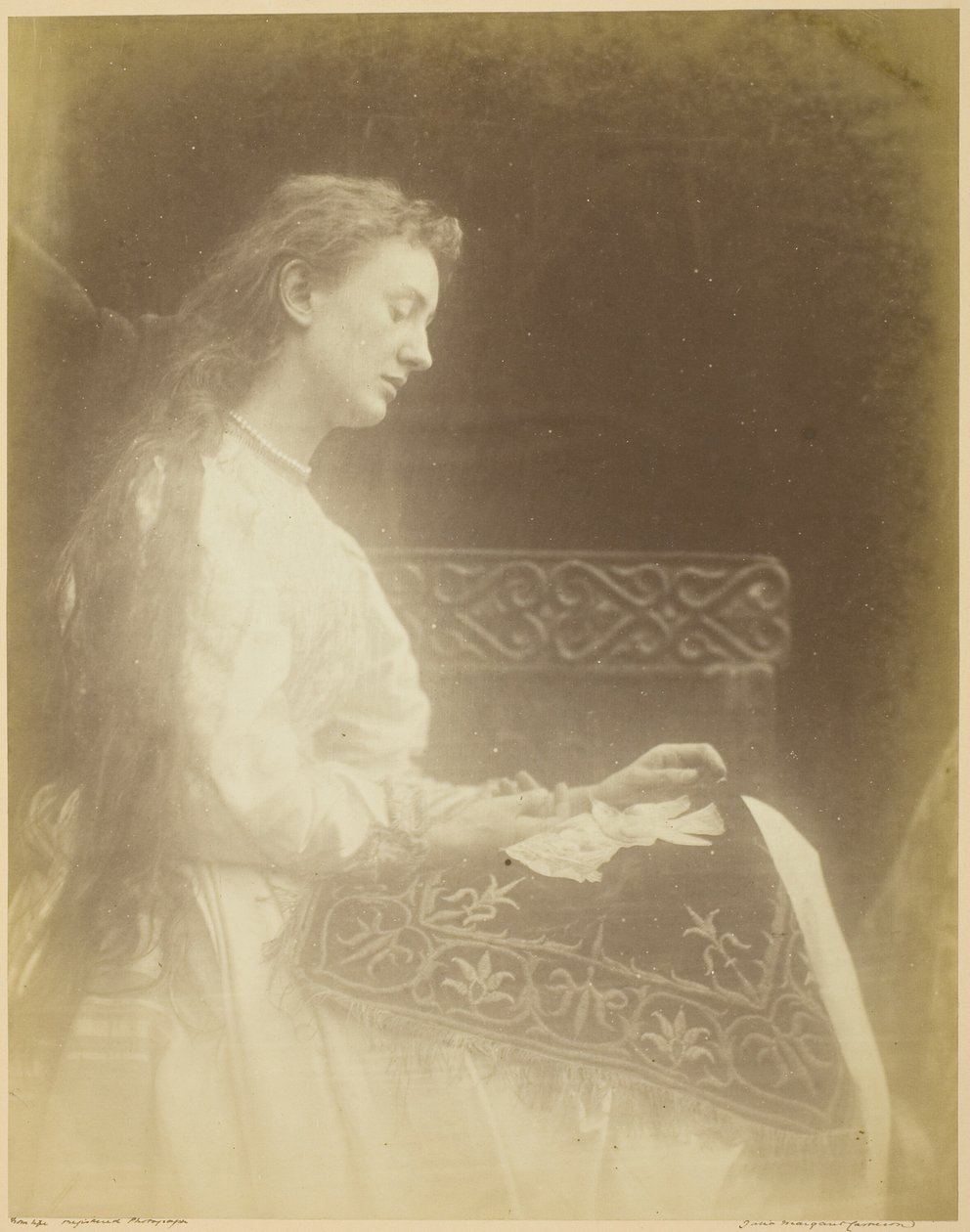 Elaine tekijältä Julia Margaret Cameron