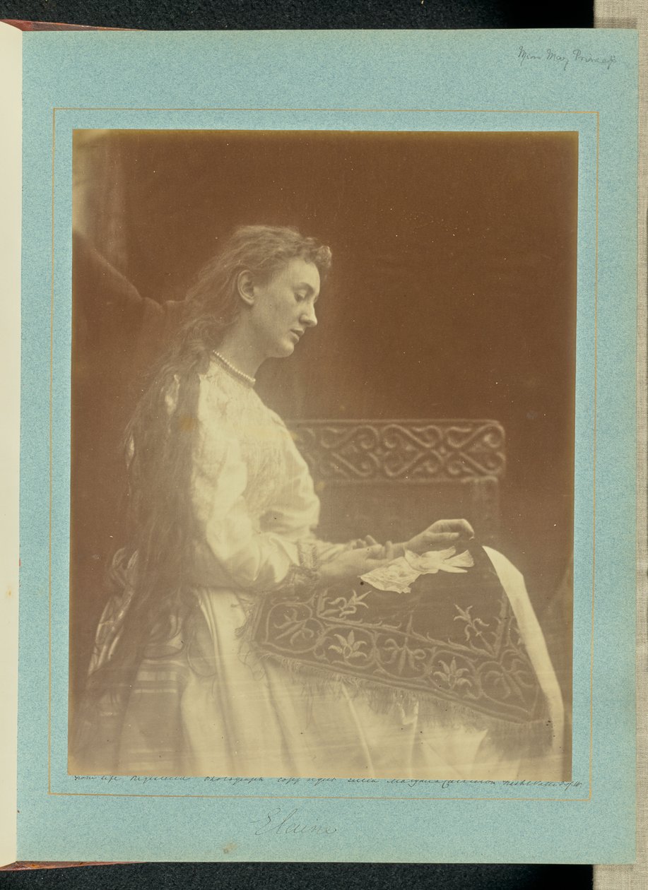 Elaine tekijältä Julia Margaret Cameron