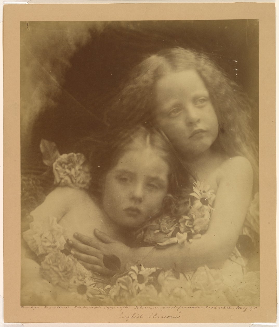 Englantilaisia kukkia tekijältä Julia Margaret Cameron