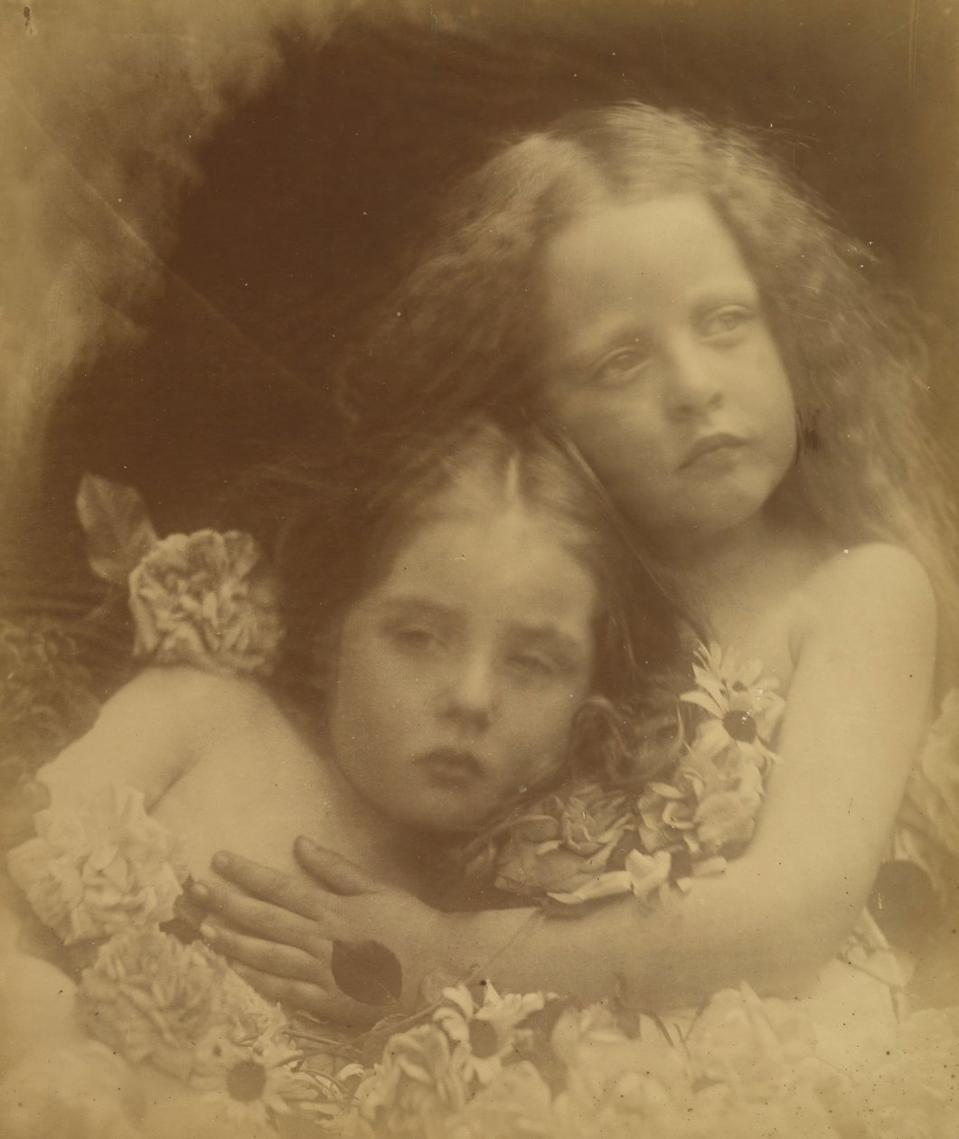 Englannin kukkia, 1873. tekijältä Julia Margaret Cameron